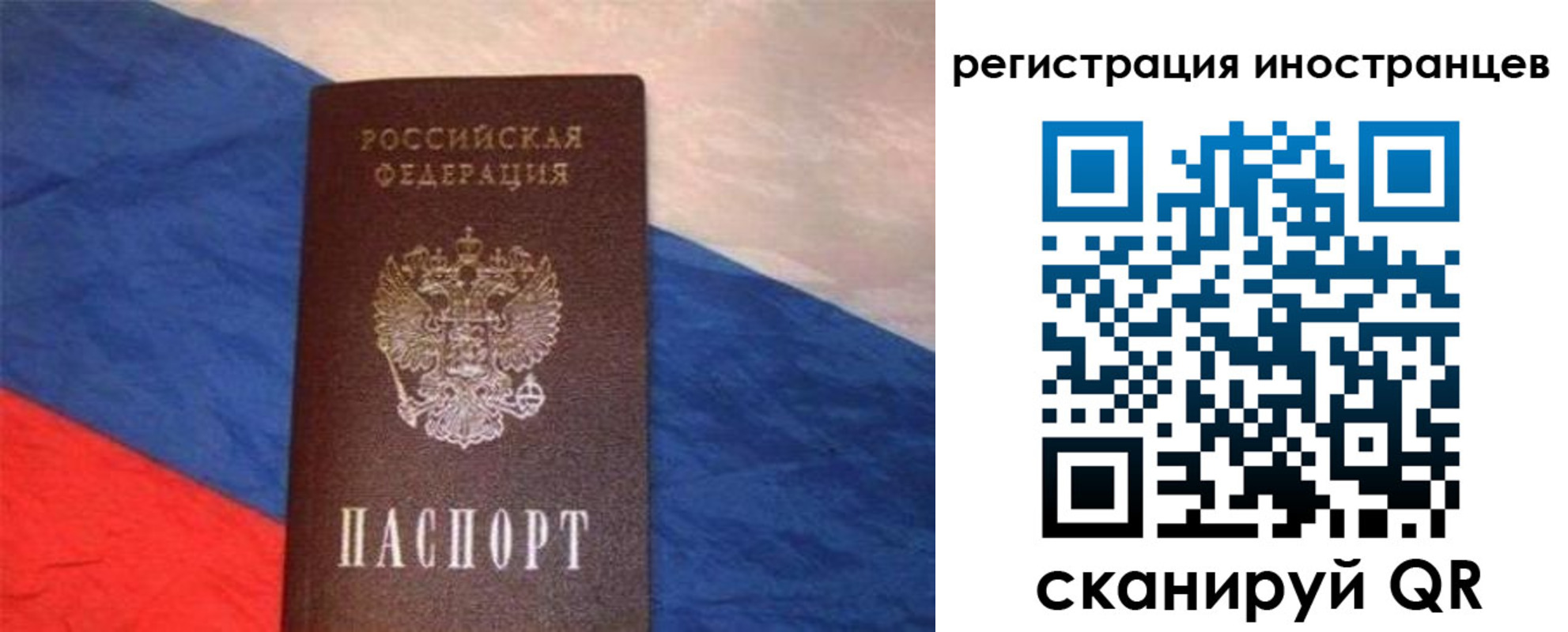 прописка в Вольске